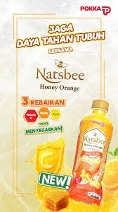 NATSBEE MADU JERUK 350ML